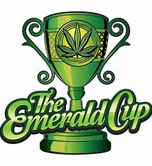 Emerald Cup